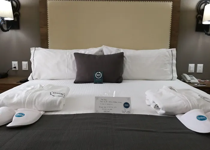 Historico 4* Mexico City